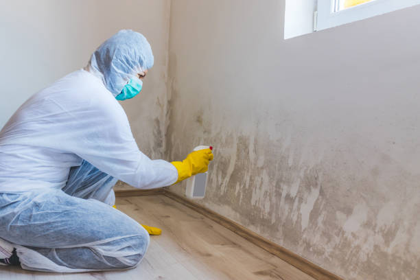 Mold Remediation specialist working in Long Lake